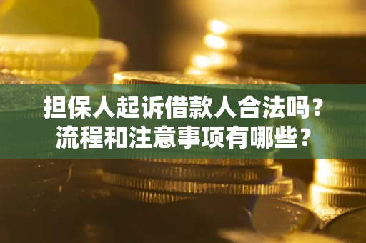 济南担保人起诉借款人合法吗？流程和注意事项有哪些？