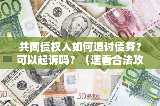 济南共同债权人如何追讨债务？可以起诉吗？（速看合法攻略）